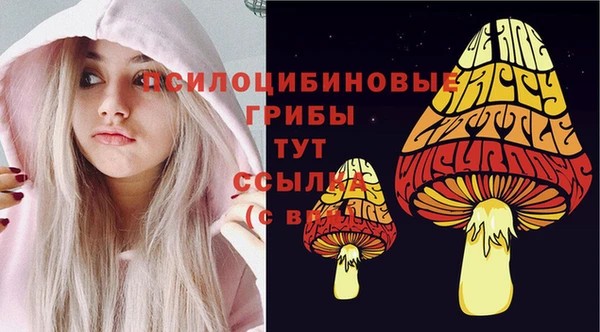 дмт Алексеевка